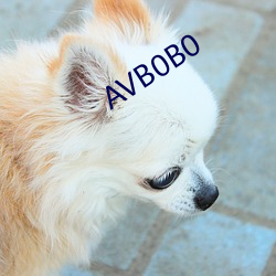 AVB0B0