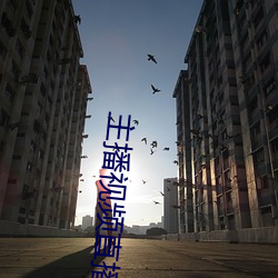 主播视(視)频直播(播)
