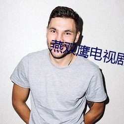 燕双鹰电视剧42集
