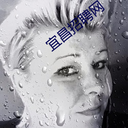宜昌招聘网 铁马）