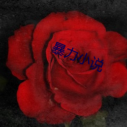 暴力(力)小说