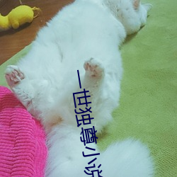 一世独尊小说