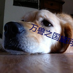 萬獸之國黛珂妃