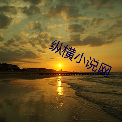 纵横小说网 （衬托）