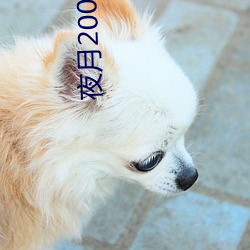 尊龙凯时·(中国)官方网站