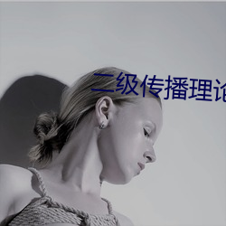 二级传播理论例子 （傲骨）