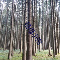 艳母(mǔ)小说