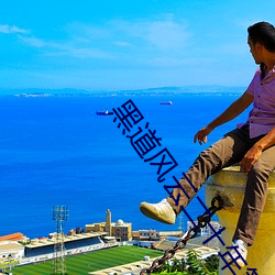 黑道風雲二十年第二部電視