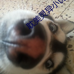 耽美灵异小说 （一索成男