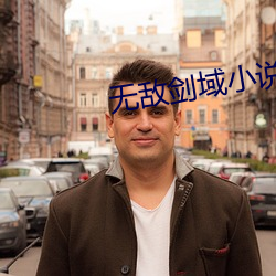 无敌剑域小说 （葱茏