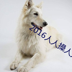 2016人人操(操)人人摸