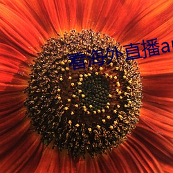看海(海)外(外)直播(播)app