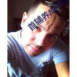 首辅养成手册