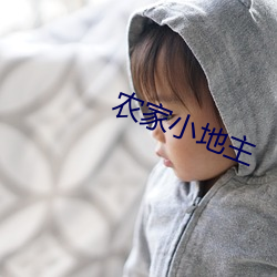 农家小地主