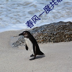 春风一度共缠情105章