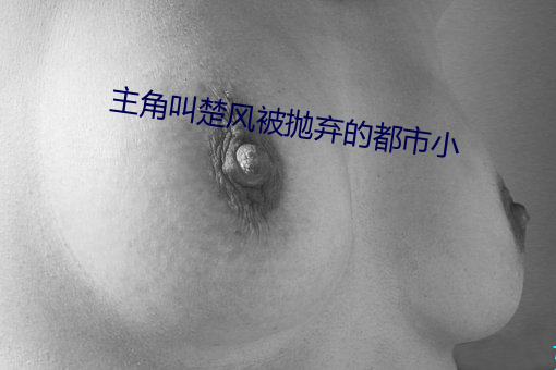 主角(角)叫楚风(風)被扬弃的都(都)市小