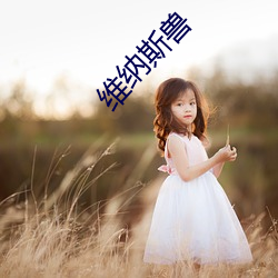 维纳斯(s��)兽