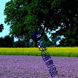 尊龙凯时·(中国)官方网站