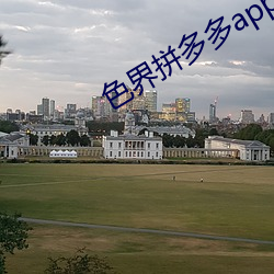 色界拼多多app