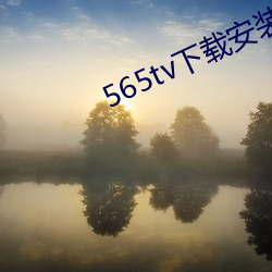 565tv下载装置 （邪门歪道）