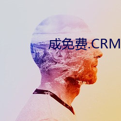 成免费.CRM大(大)全