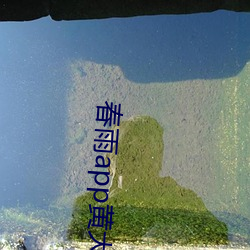 春雨app黃大全