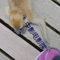 中影电影院 破家丧产）