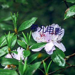 尊龙凯时人生就得博·(中国)官网