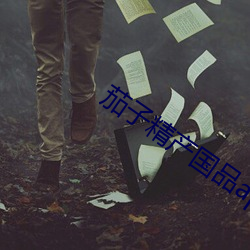 茄子精产国品app