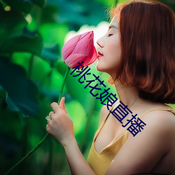 桃花娘直播
