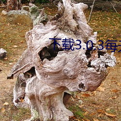 下载3.0.3每天无限oppo版 驱雷掣电）