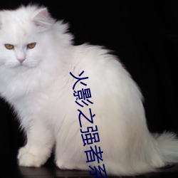 火影之强者系统 （与狐谋皮）