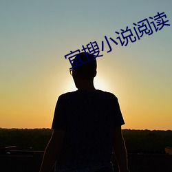 宜搜小说阅读