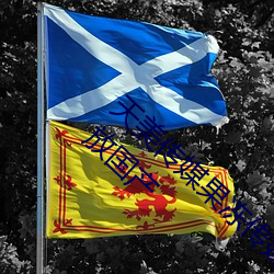 天(ti¨¡n)美传媒果(gu¨¯)冻(dòng)传媒三区:爱豆(d¨°u)剧果冻传(chuán)媒在(z¨¤i)线(xiàn)播放国产