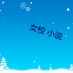 女校 小说 （贪贿）