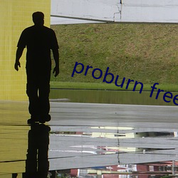 proburn free （漏斗）