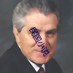 民国(國)小说