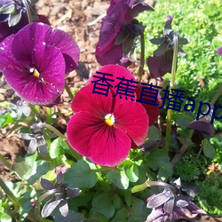 米乐M6·(中国)官方网站