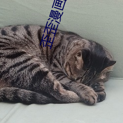 歪歪漫画秋蝉登录页面免费