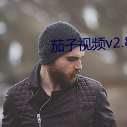 茄子视频v2.8.7