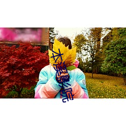 本(本)溪(溪)影(影)院(院)