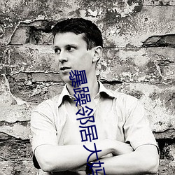 暴躁邻居大妈 （天之戮民）