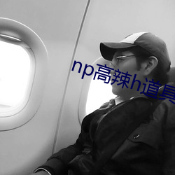 np高辣h道具play （嘎嘣脆）