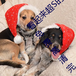 看(看)起来(來)超S的(的)美脚大姊(姊)奇(奇)袭痴(癡)女档案 明里紬(紬)》免(免)费(費)高(高)清(清)完(完)