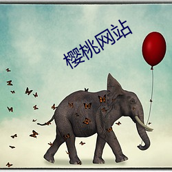 樱桃网站