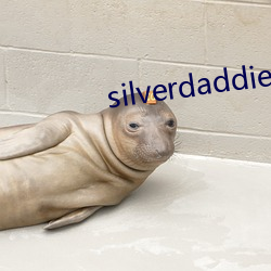 silverdaddies