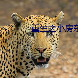 重(重)生之小房东(東)