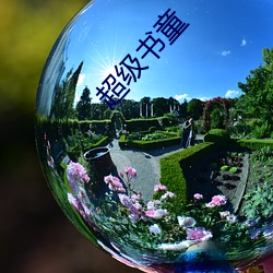 超级书童(tóng)
