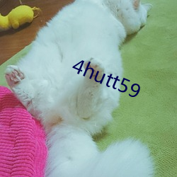 4hutt59 （拘文牵义）