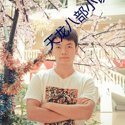 天龙八部(bù)小说